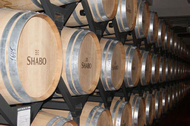 Поталанить тим, хто поїде на практику у «Шабо». Виноробна компанія відчинила двері для студентів ВНАУ, фото №2 на сайті 20minut.ua