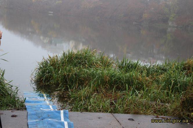 Новини Вінниці - фото з У річку Південний Буг випустили 7,5 тонн зарибку амура, коропа та товстолоба У річку Південний Буг випустили 7,5 тонн зарибку амура, коропа та товстолоба, фото №3 на сайті 20minut.ua