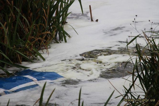 Новини Вінниці - фото з У річку Південний Буг випустили 7,5 тонн зарибку амура, коропа та товстолоба У річку Південний Буг випустили 7,5 тонн зарибку амура, коропа та товстолоба, фото №4 на сайті 20minut.ua