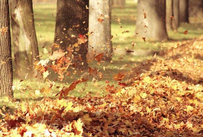 Новини Вінниці - фото з Цей день 9 листопада: чим увійшов в історію, цікавинки та прикмети