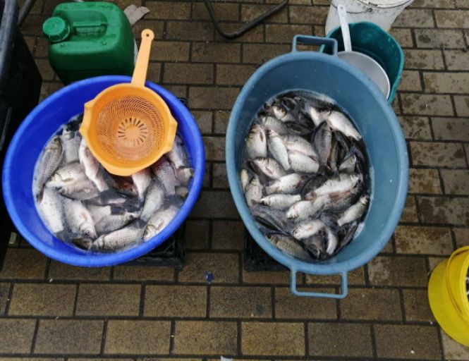 На Хмельниччині рибоохоронний патруль спіймав 14 браконьєрів за тиждень на сайті vsim.ua На Хмельниччині рибоохоронний патруль спіймав 14 браконьєрів за тиждень, фото №2 на сайті vsim.ua