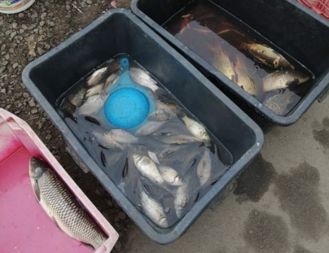 На Хмельниччині рибоохоронний патруль спіймав 14 браконьєрів за тиждень на сайті vsim.ua На Хмельниччині рибоохоронний патруль спіймав 14 браконьєрів за тиждень, фото №3 на сайті vsim.ua