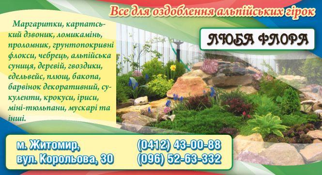 Новини Житомира - фото з Ідеї і поради для створення затишного двору біля приватного будинку Ідеї і поради для створення затишного двору біля приватного будинку, фото №5 на сайті 20minut.ua