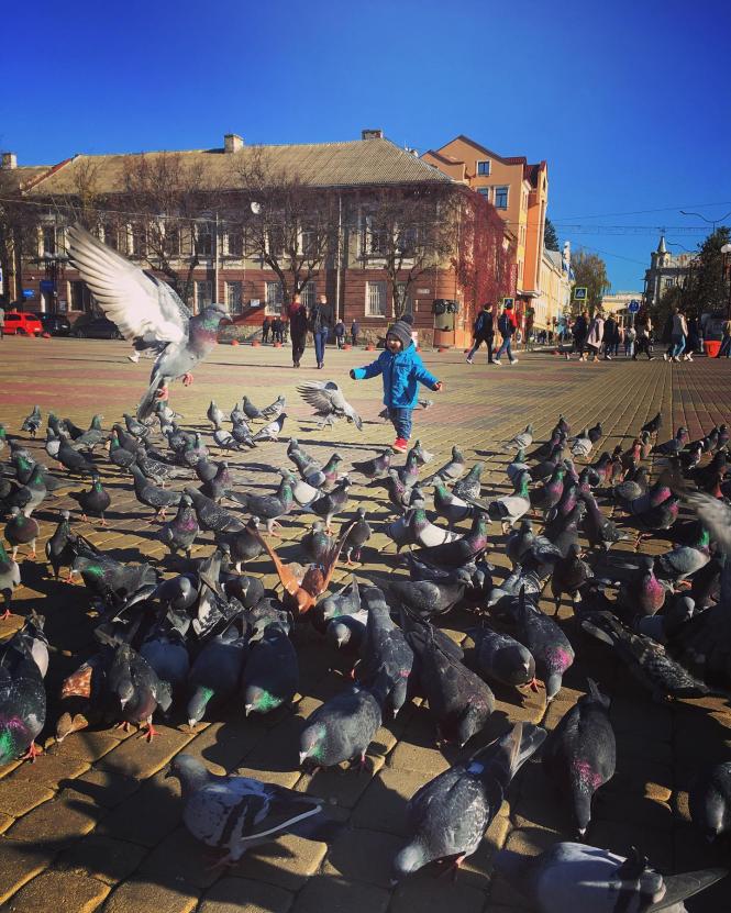 Новини Тернополя - фото з ТОП-10 листопадових фото на Театральному майдані (шукайте свою світлину з Instagram) ТОП-10 листопадових фото на Театральному майдані (шукайте свою світлину з Instagram), фото №9 на сайті 20minut.ua
