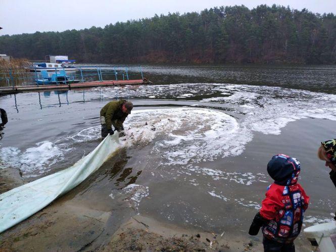 У Житомирському водосховищі поселилося 4 тонни риби, фото №1 на сайті 20minut.ua
