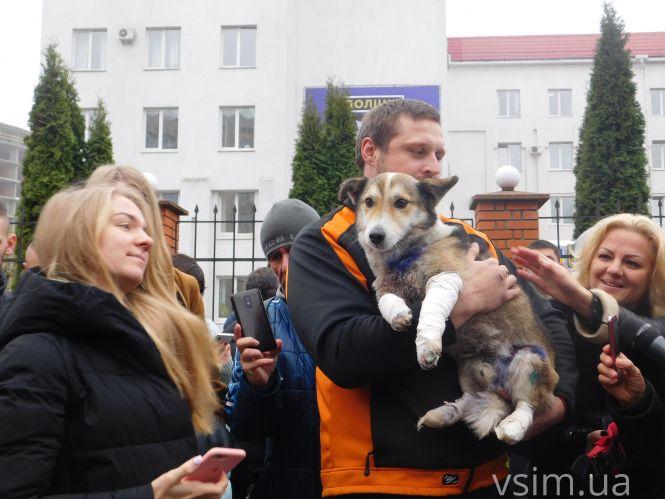 Новини Хмельницького - фото з Волонтери показали Барсика, якого за машиною волочив хмельницький чиновник (ФОТО, ВІДЕО) Волонтери показали Барсика, якого за машиною волочив хмельницький чиновник (ФОТО, ВІДЕО), фото №6 на сайті vsim.ua