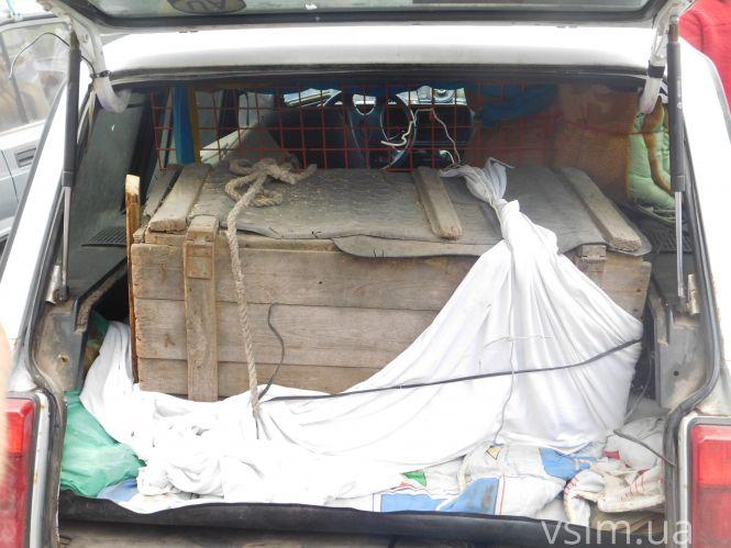 Новини Хмельницького - фото з Волонтери показали Барсика, якого за машиною волочив хмельницький чиновник (ФОТО, ВІДЕО) Волонтери показали Барсика, якого за машиною волочив хмельницький чиновник (ФОТО, ВІДЕО), фото №2 на сайті vsim.ua