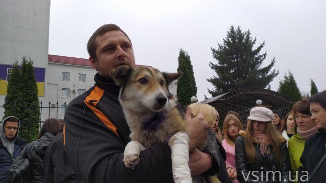 Новини Хмельницького - фото з Волонтери показали Барсика, якого за машиною волочив хмельницький чиновник (ФОТО, ВІДЕО) Волонтери показали Барсика, якого за машиною волочив хмельницький чиновник (ФОТО, ВІДЕО), фото №5 на сайті vsim.ua