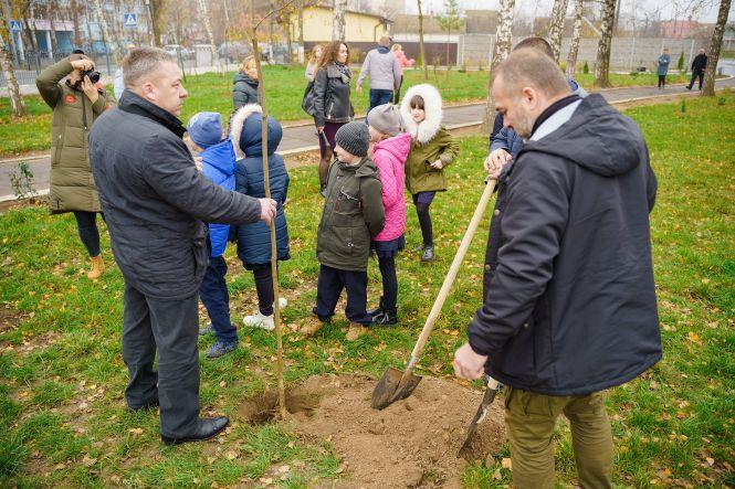 Новини Вінниці - фото з «Посади дерево – збережи довкілля» на територіях вінницьких шкіл висадять 115 саджанців «Посади дерево – збережи довкілля» на територіях вінницьких шкіл висадять 115 саджанців, фото №2 на сайті 20minut.ua