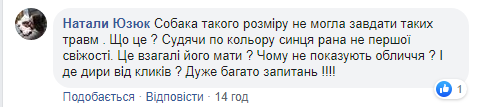 Новини Хмельницького - фото з Хмельницький чиновник, який тягнув за машиною собаку, розповів свою версію подій Хмельницький чиновник, який тягнув за машиною собаку, розповів свою версію подій, фото №7 на сайті vsim.ua