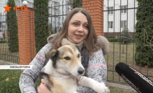 Новини Хмельницького - фото з Хмельницький чиновник, який тягнув за машиною собаку, розповів свою версію подій Хмельницький чиновник, який тягнув за машиною собаку, розповів свою версію подій, фото №10 на сайті vsim.ua