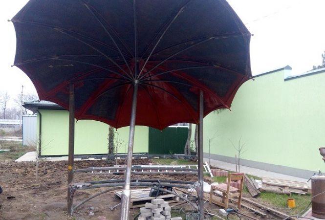 Новини Вінниці - фото з У Подільському зоопарку облаштували нову креативну зону У Подільському зоопарку облаштували нову креативну зону, фото №1 на сайті 20minut.ua