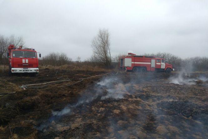 Масштабна пожежа: під Хмельницьким горіли торфовища, фото №1 на сайті vsim.ua