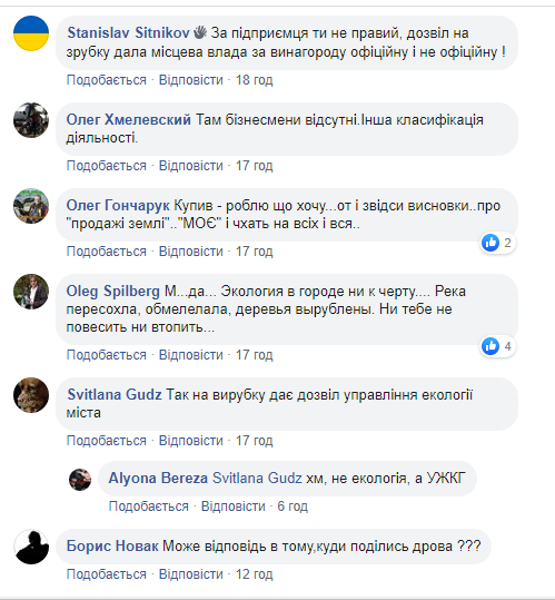 Новини Хмельницького - фото з На Володимирській зрізали “живі” дерева. Чи законно це? На Володимирській зрізали “живі” дерева. Чи законно це?, фото №1 на сайті vsim.ua