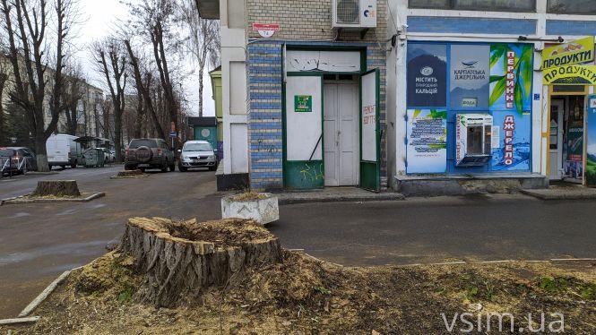 Новини Хмельницького - фото з На Володимирській зрізали “живі” дерева. Чи законно це? На Володимирській зрізали “живі” дерева. Чи законно це?, фото №3 на сайті vsim.ua