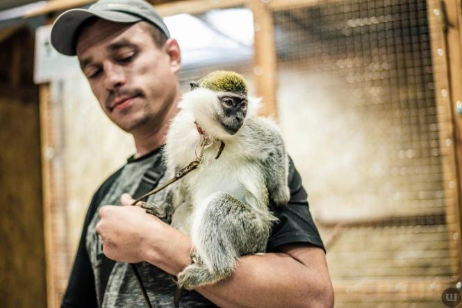 Новини Хмельницького - фото з Різдвяний ярмарок, концерт чи тренінг? Куди піти в Хмельницькому на вихідних Світ джунглів і майстер-класи: куди піти в Хмельницькому на вихідних