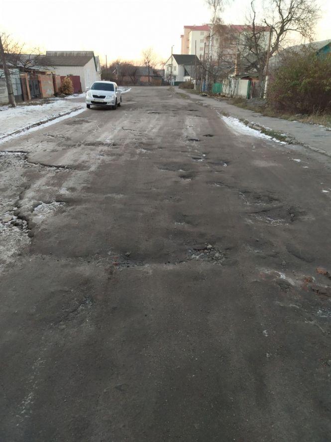 Фото дня: собаки та дороги, фото №3 на сайті 20minut.ua