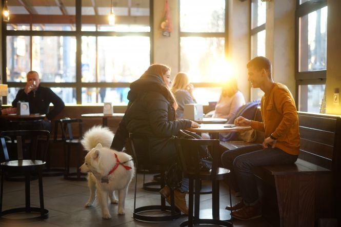 Куди у Вінниці можна зайти з собакою? Кав’ярні, транспорт, крамниці. Ми перевірили, фото №3 на сайті 20minut.ua