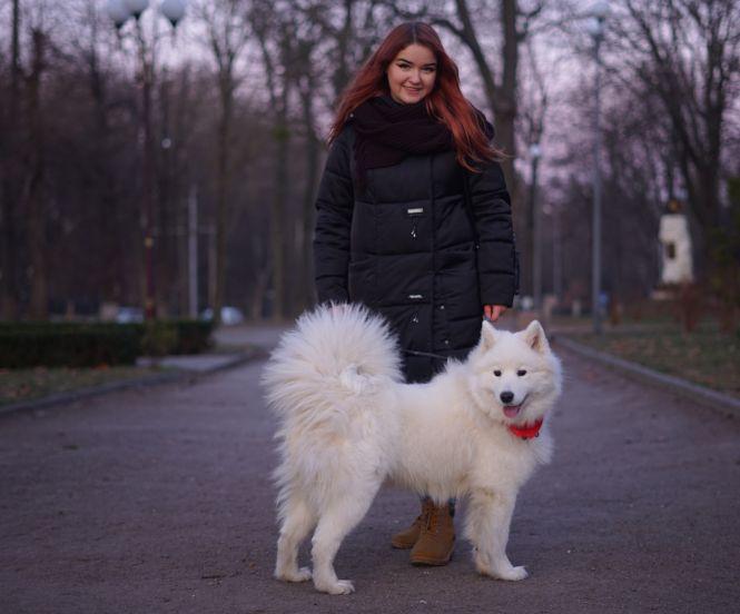 Куди у Вінниці можна зайти з собакою? Кав’ярні, транспорт, крамниці. Ми перевірили, фото №8 на сайті 20minut.ua