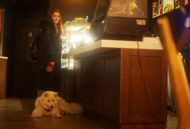 Куди у Вінниці можна зайти з собакою? Кав’ярні, транспорт, крамниці. Ми перевірили, фото №7 на сайті 20minut.ua