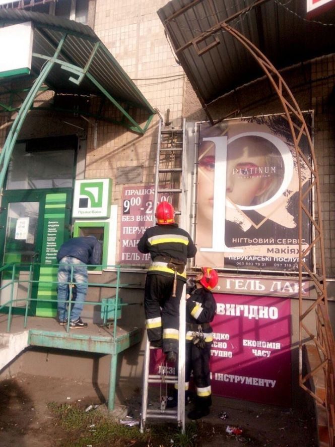 Порятунок тварин: собака на кризі у Вороновиці та кіт на вивісці у Вінниці на сайті 20minut.ua Порятунок тварин: собака на кризі у Вороновиці та кіт на вивісці у Вінниці, фото №4 на сайті 20minut.ua