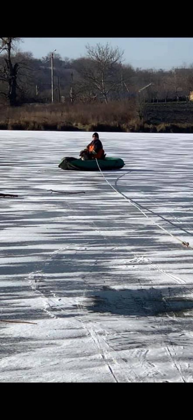 Порятунок тварин: собака на кризі у Вороновиці та кіт на вивісці у Вінниці на сайті 20minut.ua Порятунок тварин: собака на кризі у Вороновиці та кіт на вивісці у Вінниці, фото №2 на сайті 20minut.ua