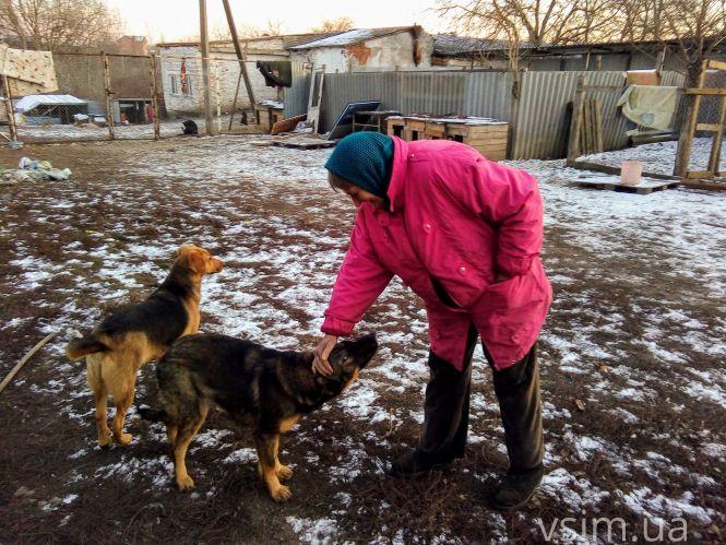 Новини Хмельницького - фото з Як живуть 300 собак у притулку в Дубовому (ФОТО, ВІДЕО) Як живуть 300 собак у притулку в Дубовому (ФОТО, ВІДЕО), фото №7 на сайті vsim.ua