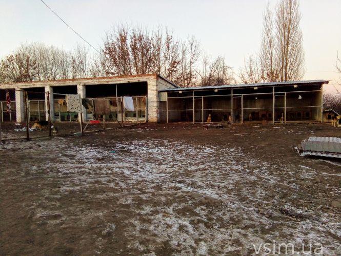 Новини Хмельницького - фото з Як живуть 300 собак у притулку в Дубовому (ФОТО, ВІДЕО) Як живуть 300 собак у притулку в Дубовому (ФОТО, ВІДЕО), фото №12 на сайті vsim.ua