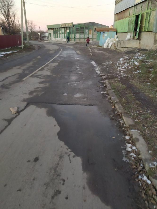 Фото дня: собаки та дороги, фото №1 на сайті 20minut.ua