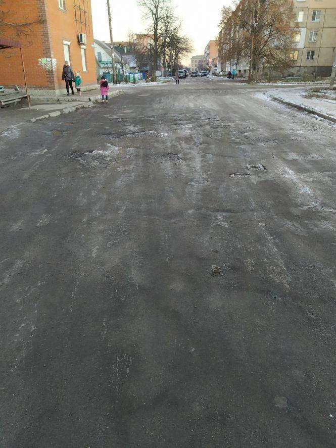 Фото дня: собаки та дороги, фото №2 на сайті 20minut.ua