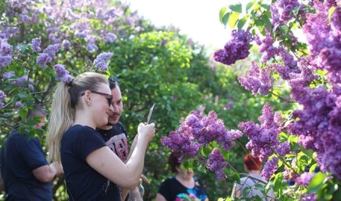 Підтримай громадську ініціативу «#500 дерев для Козятина», фото №3 на сайті 20minut.ua