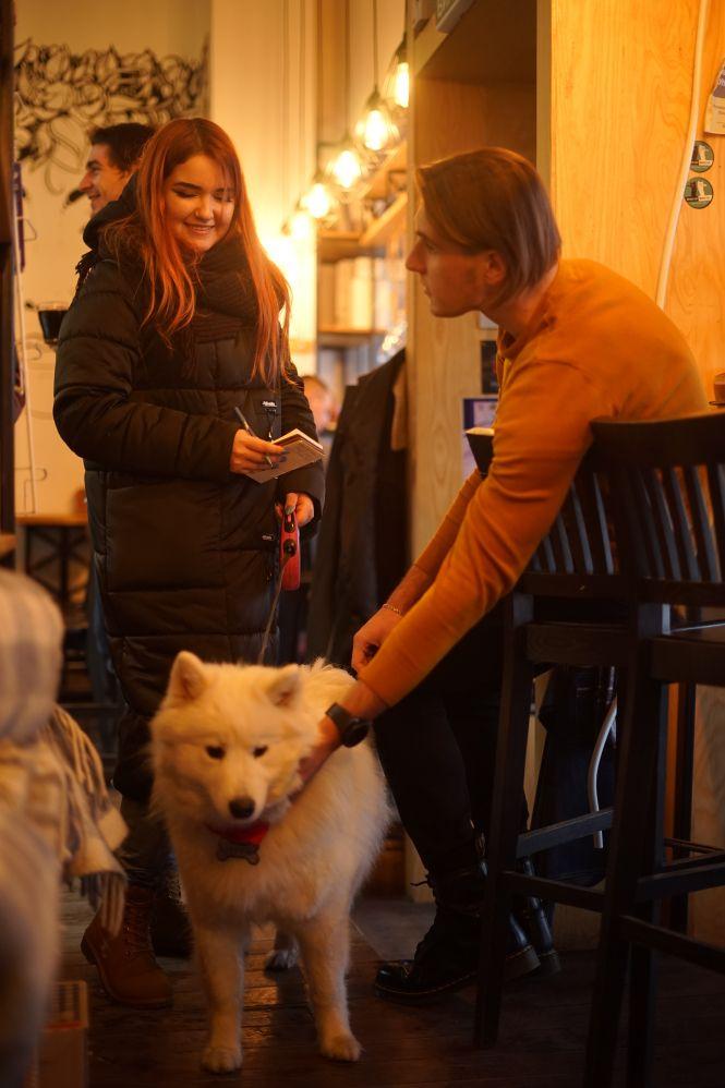 Куди у Вінниці можна зайти з собакою? Кав’ярні, транспорт, крамниці. Ми перевірили, фото №5 на сайті 20minut.ua