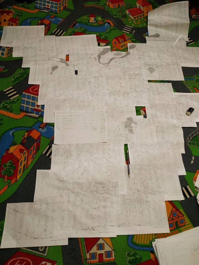 Підтримай громадську ініціативу «#500 дерев для Козятина», фото №2 на сайті 20minut.ua