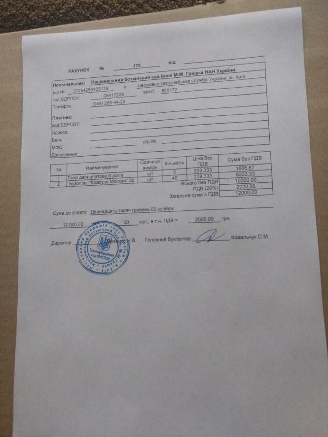 Підтримай громадську ініціативу «#500 дерев для Козятина», фото №5 на сайті 20minut.ua