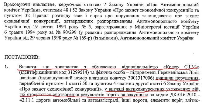 Хто та як заробляє на дорожній розмітці Житомира, фото №3 на сайті 20minut.ua