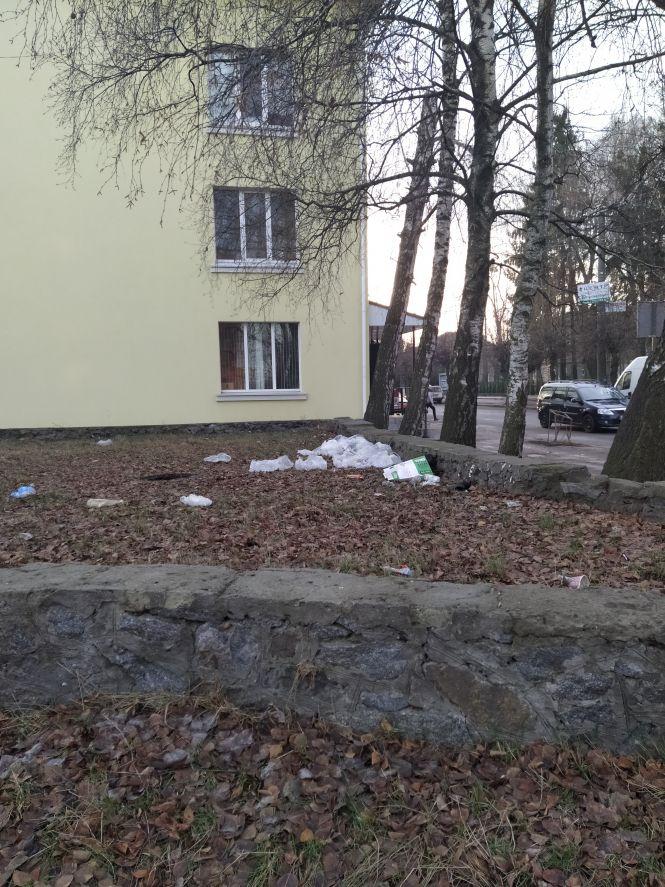 Фото дня: в центрі Козятина поліетиленовий смітник та відкритий люк, фото №3 на сайті 20minut.ua