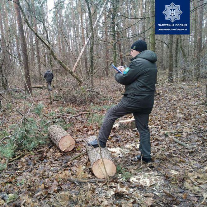 Новини Житомира - фото з Ріжуть дерева просто в межах Житомира: поліція затримала нелегальних лісорубів Ріжуть дерева просто в межах Житомира: поліція затримала нелегальних лісорубів, фото №1 на сайті 20minut.ua