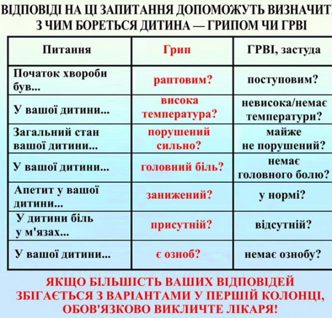Новини Козятина - фото з Важливо: поради щодо міжнародних перевезень через спалах нового коронавірусу Важливо: поради щодо міжнародних перевезень через спалах нового коронавірусу, фото №2 на сайті 20minut.ua