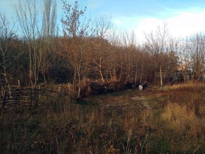 Новини Вінниці - фото з Таємне життя парку Дружби народів: як «спорткомплекс» розібрали на городи Таємне життя парку Дружби народів: як «спорткомплекс» розібрали на городи, фото №2 на сайті 20minut.ua