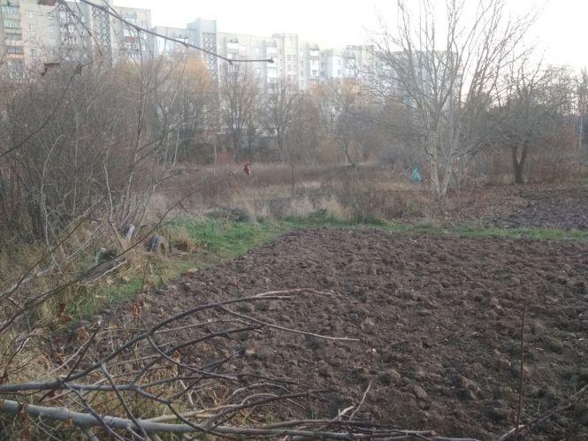 Новини Вінниці - фото з Таємне життя парку Дружби народів: як «спорткомплекс» розібрали на городи Таємне життя парку Дружби народів: як «спорткомплекс» розібрали на городи, фото №5 на сайті 20minut.ua