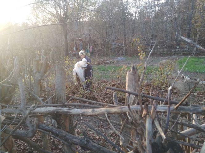 Новини Вінниці - фото з Таємне життя парку Дружби народів: як «спорткомплекс» розібрали на городи Таємне життя парку Дружби народів: як «спорткомплекс» розібрали на городи, фото №1 на сайті 20minut.ua