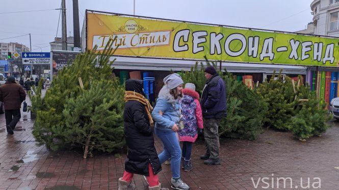 Новини Хмельницького - фото з Фото дня: біля “Либідь Плази” з'явилися перші сосни Фото дня: біля “Либідь Плази” з'явилися перші сосни, фото №2 на сайті vsim.ua