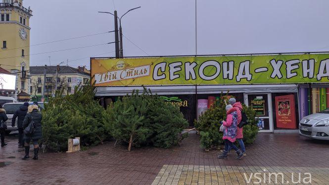 Новини Хмельницького - фото з Фото дня: біля “Либідь Плази” з'явилися перші сосни Фото дня: біля “Либідь Плази” з'явилися перші сосни, фото №3 на сайті vsim.ua