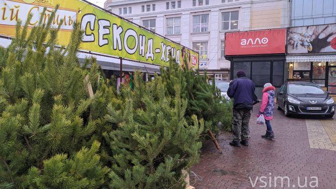 Новини Хмельницького - фото з Фото дня: біля “Либідь Плази” з'явилися перші сосни Фото дня: біля “Либідь Плази” з'явилися перші сосни, фото №4 на сайті vsim.ua