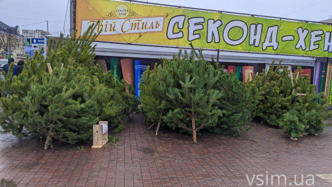 Новини Хмельницького - фото з Фото дня: біля “Либідь Плази” з'явилися перші сосни Фото дня: біля “Либідь Плази” з'явилися перші сосни, фото №1 на сайті vsim.ua