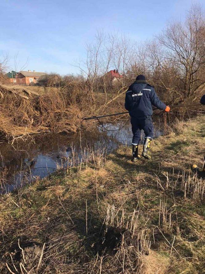 Новини Тернополя - фото з На Тернопільщині вода забрала життя двох рибалок На Тернопільщині вода забрала життя двох рибалок, фото №1 на сайті 20minut.ua