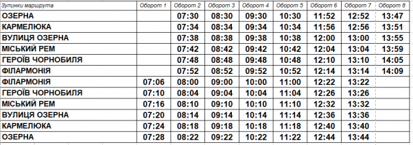 З’явилися графіки руху автобусів по маршрутах №3 та №20, фото №7 на сайті vsim.ua