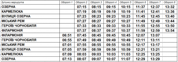 З’явилися графіки руху автобусів по маршрутах №3 та №20, фото №5 на сайті vsim.ua