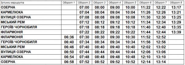 З’явилися графіки руху автобусів по маршрутах №3 та №20, фото №3 на сайті vsim.ua
