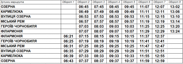 З’явилися графіки руху автобусів по маршрутах №3 та №20, фото №1 на сайті vsim.ua